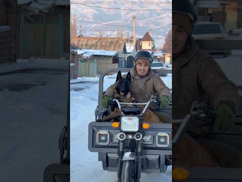 Do you have any questions?#dog