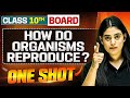 WARRIOR 2025 HOW DO ORGANISMS REPRODUCE In 1 Shot FULL CHAPTER Theory PYQs Class 10th Board