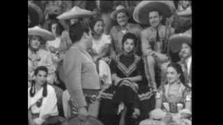 La Verdolaga Lyrics English Translation