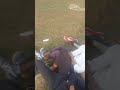 Helicopter Teri Maa Ki Chut Niche Aja Bhadwe Comeday Funny