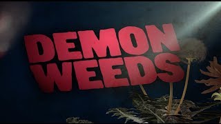 Alliance for Natural Health   "Demon Weeds"