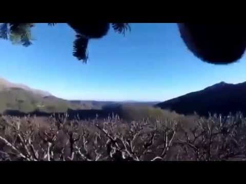 Terremoto 30 Ottobre 2016