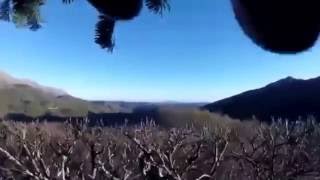 Terremoto 30 Ottobre 2016