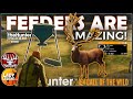 How The NEW FEEDERS WORK In Call Of The Wild Early Access Review