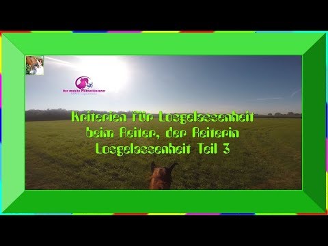 Arons Tipp der Woche zum Thema Losgelassenheit Teil3 – vom mobilen Pferdeflüsterer