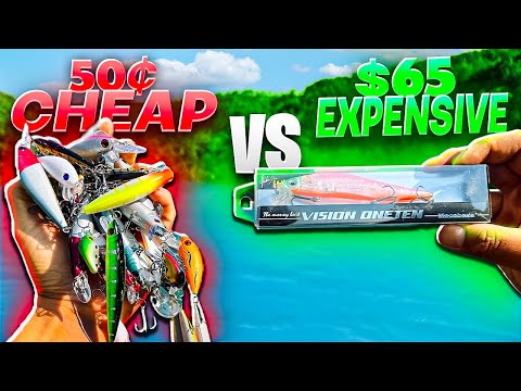 WORTH IT?! 50¢ vs. $65 Fishing Lure CHALLENGE!!! (He HOOKED my FOOT)
