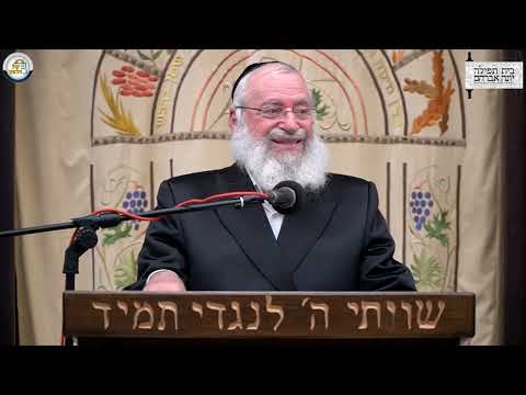 Commanders and Mass Burial | Rav Asher Weiss Shlit”a
