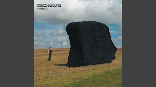 Widgets (Alex B Remix)