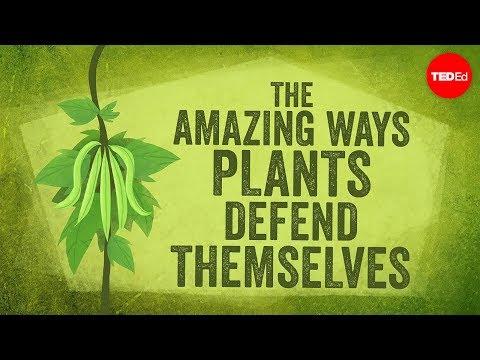 How Plants Defend Themselves