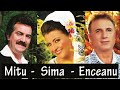 COLAJ MUZICA POPULARA 2017 Petrica Mitu Stoian Enceanu Steliana Sima