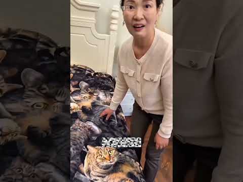 Annenin Göremediği Kediler#shorts