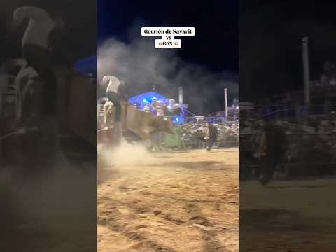 ¡¡G63 VS GORRIÓN DE NAYARIT, QUÉ PASO AQUÍ?, RANCHO EL AGUUAJE EN COCULA JALISCO 2025!! #parati #fyp