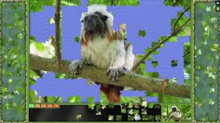 Pixel Puzzles Ultimate ► video № 53◄