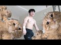 고양이한테 뺏긴 채널 (운동+일상+고양이 Vlog)