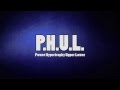Power Hypertrophy Upper Lower PHUL Workout Muscle Strength