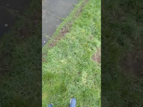 Joe Joyce Accepted Michael Gilheany Challenge and wants to fight for £60,000 Pound