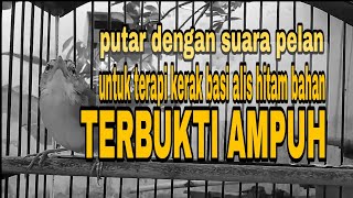 Download lagu TERAPI KERAK BASI ALIS HITAM BAHAN !!! mp3 Download lagu TERAPI KERAK BASI ALIS HITAM BAHAN !!! mp3