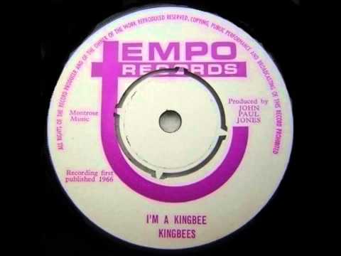 Kingbees - I'm A Kingbee
