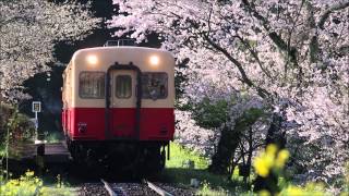 Yumi Matsutoya - Haru yo koi