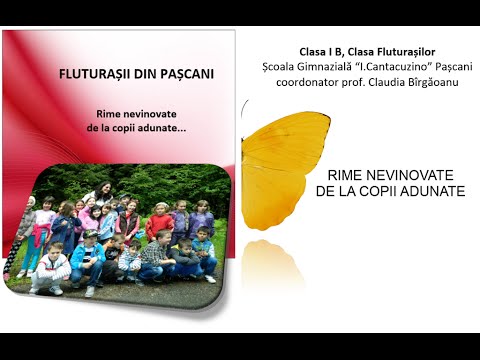 Activitati clasa 0 - clasa I