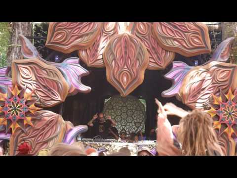 Radical Distortion - The Dreamer @ Connection Festival 2016