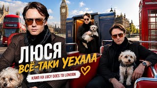 Спел про собаку. 40 миллионов спустя