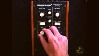 Video thumbnail for moog MF-104Z analog delay by don felipe