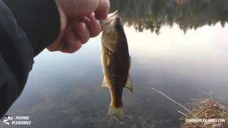 Catching Fish On The Matzuo Nano Minnow