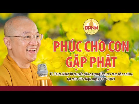 Phúc cho con gặp Phật 