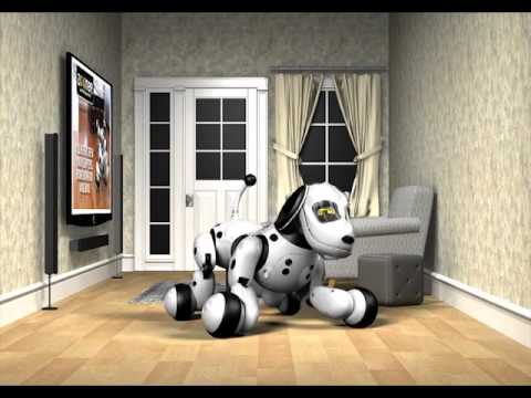 Ｈｅｌｌｏ！Ｚｏｏｍｅｒ (ハローズーマー) 英語で仕草⑫「Zoomer！Play dead」