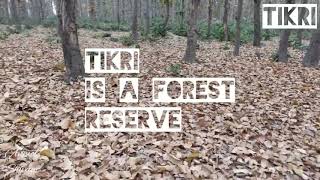 preview picture of video 'TIKRI Reserved Forest| Weekend Trips and Travel| Exploring Nature| Getaways'