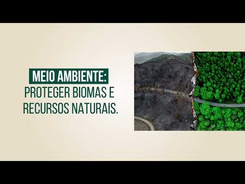 Pilar “Meio Ambiente” - Campanha “Sustentabilidade: o futuro a gente faz agora”- CNJ
