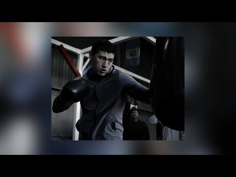 Automotivo da zona sul 4 x Bivol (Slowed + Reverb)