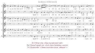 Luca Marenzio | Nel dolce seno della bella Clori [á 6; Singer Pur]