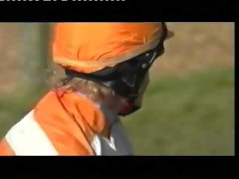 2005 Brit Insurance Novice Hurdle - Cheltenham Festival