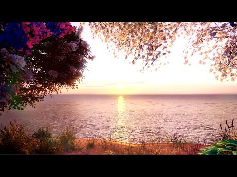 Piano com músicas calmas (Saulo Amui)