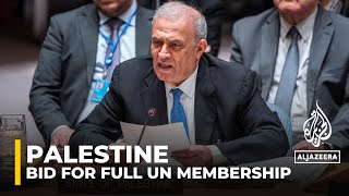 ‘Palestinian state could not be harm to peace’: Palestinian representative to the UN