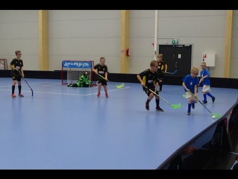 Martin sudet Kolmas sählypeli Tuusulan urheilukeskuksessa 20.11.2016