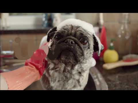 ITV HD 2 - Junction of 2019 2 - Last Old Look Pugwash ident 2 - 2019 2 - 1080p HD 2