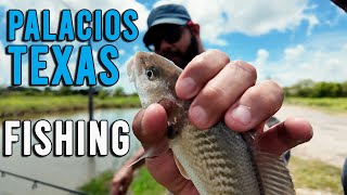 Fishing Palacios Texas Piers and Bridges