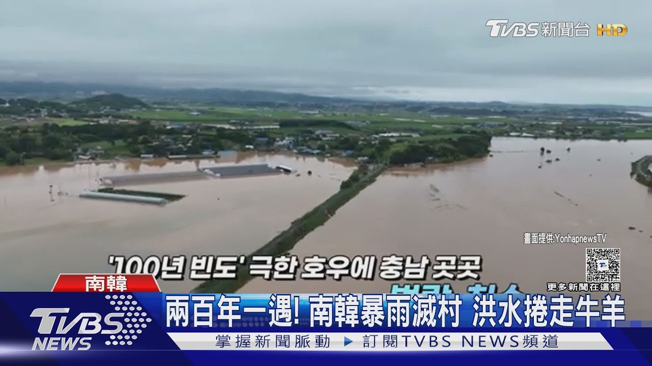兩百年一遇暴雨超慘!南韓洪水滅村 農舍乳牛「水上漂」