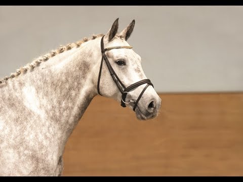 11 | Cambiato v. Clinton I - Capitol I