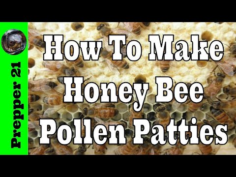 , title : 'How To Make Honey Bee Pollen Patties'