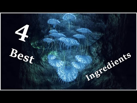 Skyrim - Top 4 Plant-able Alchemy Ingredients
