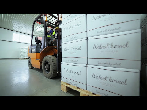 ROS-SWEET Sp. z o. o. - Orzech włoski Walnut Kernel