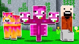 THE *FUNNIEST* MINECRAFT PE VIDEO EVER.