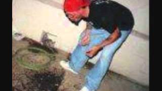 schitzopanic - shitfaced