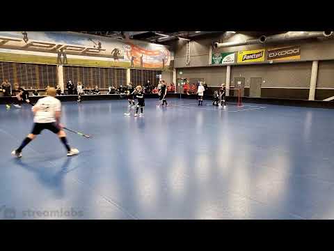 SB Vantaa Gepardit - EräViikingit Kulta