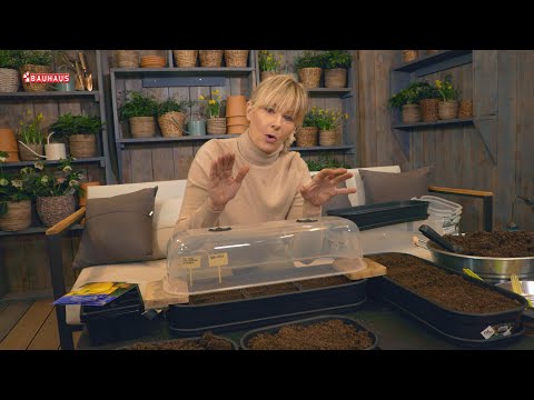 Škola vrtlarstva - sjetva uz pozor