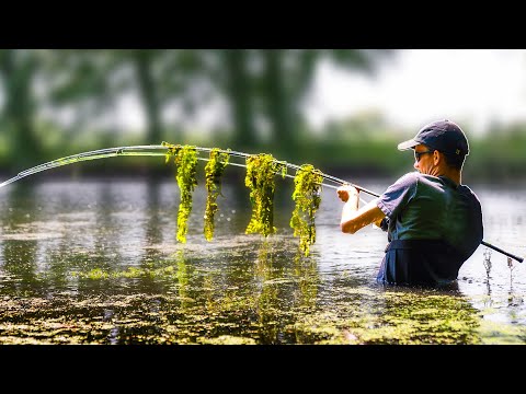 Discovering The Lost River - A Carp Fishing Film
